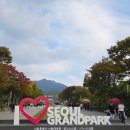 중앙교회 앞(대공원길) | 서울근교 가을 단풍나들이 과천 서울대공원 동물원 리프트패키지 코끼리열차 푸드코트 주차