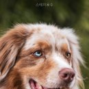 용수라면 | 스테이용수 직접 다녀온 솔직 후기