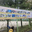 상대초등학교(병설) 이미지