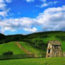 일성목장 이미지