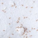 슬립케어 이미지