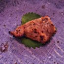 상도연탄갈비 이미지