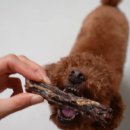 페트라슈 네이버블로그