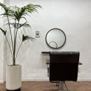 헤이살롱 이미지