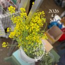 서유농원 | [양평 나들이] 수수카페 옆, 4월의 초록을 닮은 두물뭍농부시장 후기