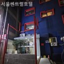 서울쎈트럴호텔 | [광화문/호텔] 서울쎈트럴호텔 서울 도심 속 힐링 공간 하루의 피로가 사라지는 호텔