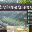 웅상체육공원 축구장 이미지