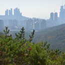 영산대학교(해운대) 이미지