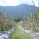 햇살찬농장 이미지