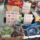 과일창고향남