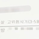 더봄날에