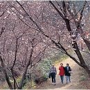 죽림가 이미지