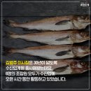 해담수산협동조합