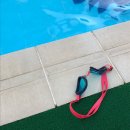 블루문펜션 이미지