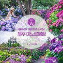마노르블랑