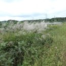 녹전1동 이미지