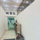 한국체대 봄 태권도장 이미지