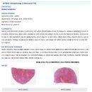 경남동물병원 | 경남 내외동 동물병원 급격한 체중감소로 내원한 13살 말티즈에게 발견된 비장종괴 수술 사례