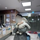 이선호소아청소년과의원 네이버블로그