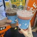 개 쿨 | 맥주 한 잔도 못 마셨던 2025 카스쿨 페스티벌 늦은 후기