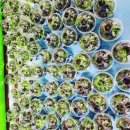 효진관 합기도 이미지