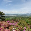 구봉산전망대 이미지