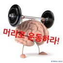 마이너짐 이미지
