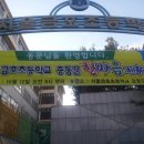 서울금호초등학교 이미지