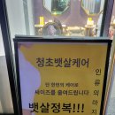 성형안해도청초