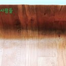 벌레잡는사람들