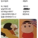 코알라즉석떡볶이 이미지