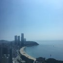 제니스클리닝 이미지