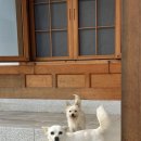 한옥강산재