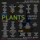 렙타일마켓