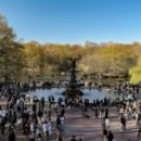(주)푸른숲조경 - 아산시 충무로 243-25 | (주)푸른숲조경