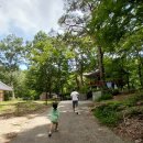 홍룡폭포(홍룡사) 이미지