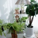 이음캣 | 캣나인 이너무바 고양이집 | 스트레스 낮추는 고양이 안식처