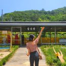 풍남동-03(생태체험관) | 전주갈만한 곳 전주스테이 1박2일 전주여행코스 추천