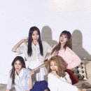 스텔라 쿠키뉴스