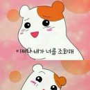 더헤이든