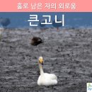 고니PC 이미지