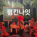 펌킨 | 경주 할로윈 펌킨나잇 축제 꿀팁 및 솔직후기