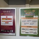 엘바디핏 | 목동다이어트 누워서 엘바디핏 체형관리 만족 후기