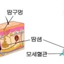 샘 사우나 이미지