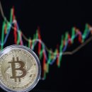 비트코인 이미지