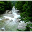 수승대야영장 이미지