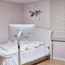 세종시청 서문 거치대 | 삼탠바이미 M5 좁은공간 이동식 거치대 카멜마운트