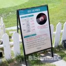 리얼숏게임-퍼팅 | 시흥 솔트베이연습장 후기｜꾸준히 다니며 느낀 천연잔디 골프연습장 현실 리뷰