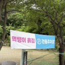 광양 옥룡계곡 닭구이, 닭백숙 맛집 먹뱅이 흙집 내돈내산 후기