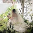 라플라워 | [Wedding] 웨딩촬영 라본누벨 스튜디오 플라워디렉팅 클라우스 플라워 계약 후기